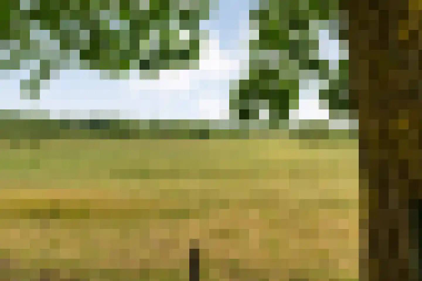 Appelschaseweg 2 Wateren thumbnail 50