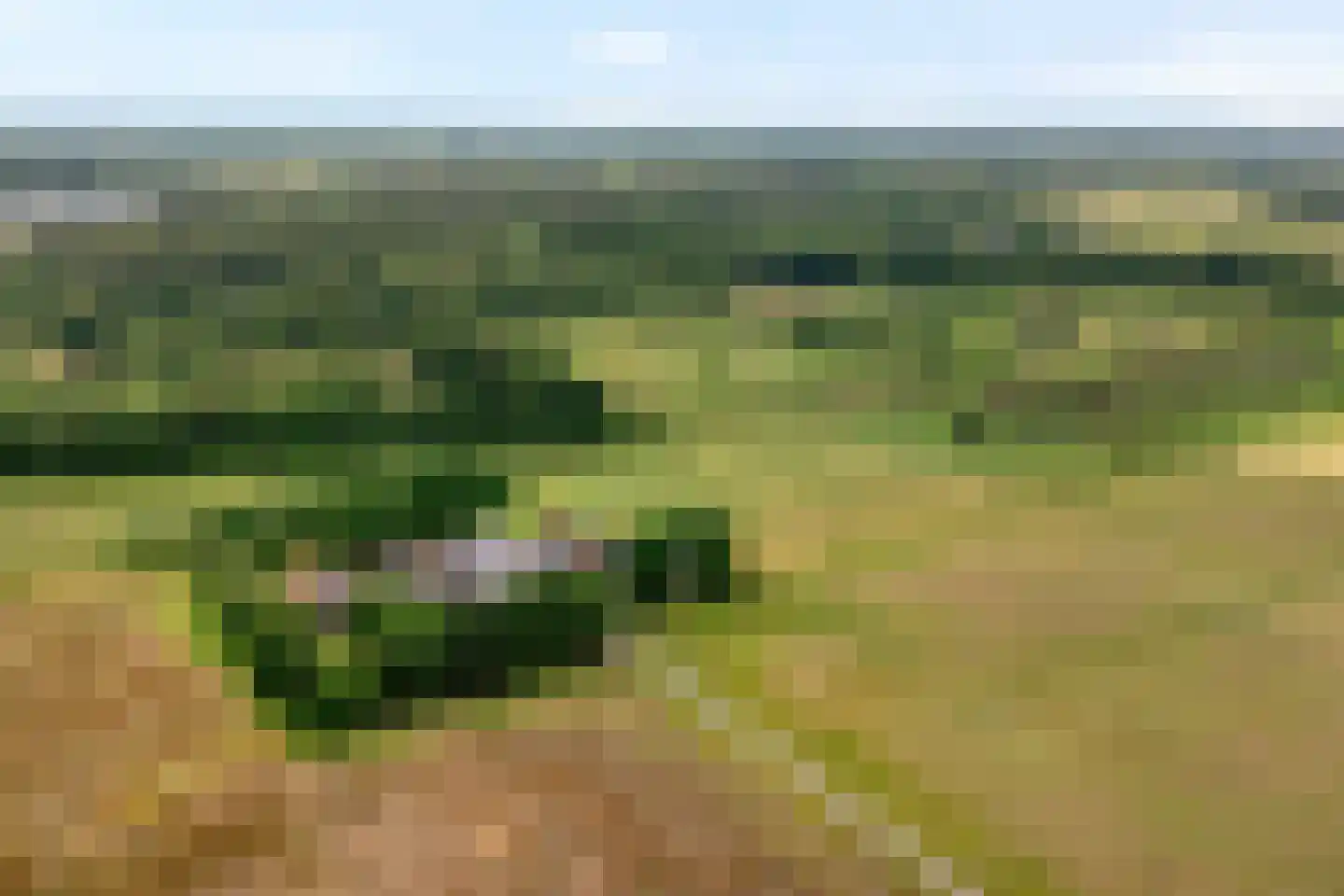 Appelschaseweg 2 Wateren thumbnail 7