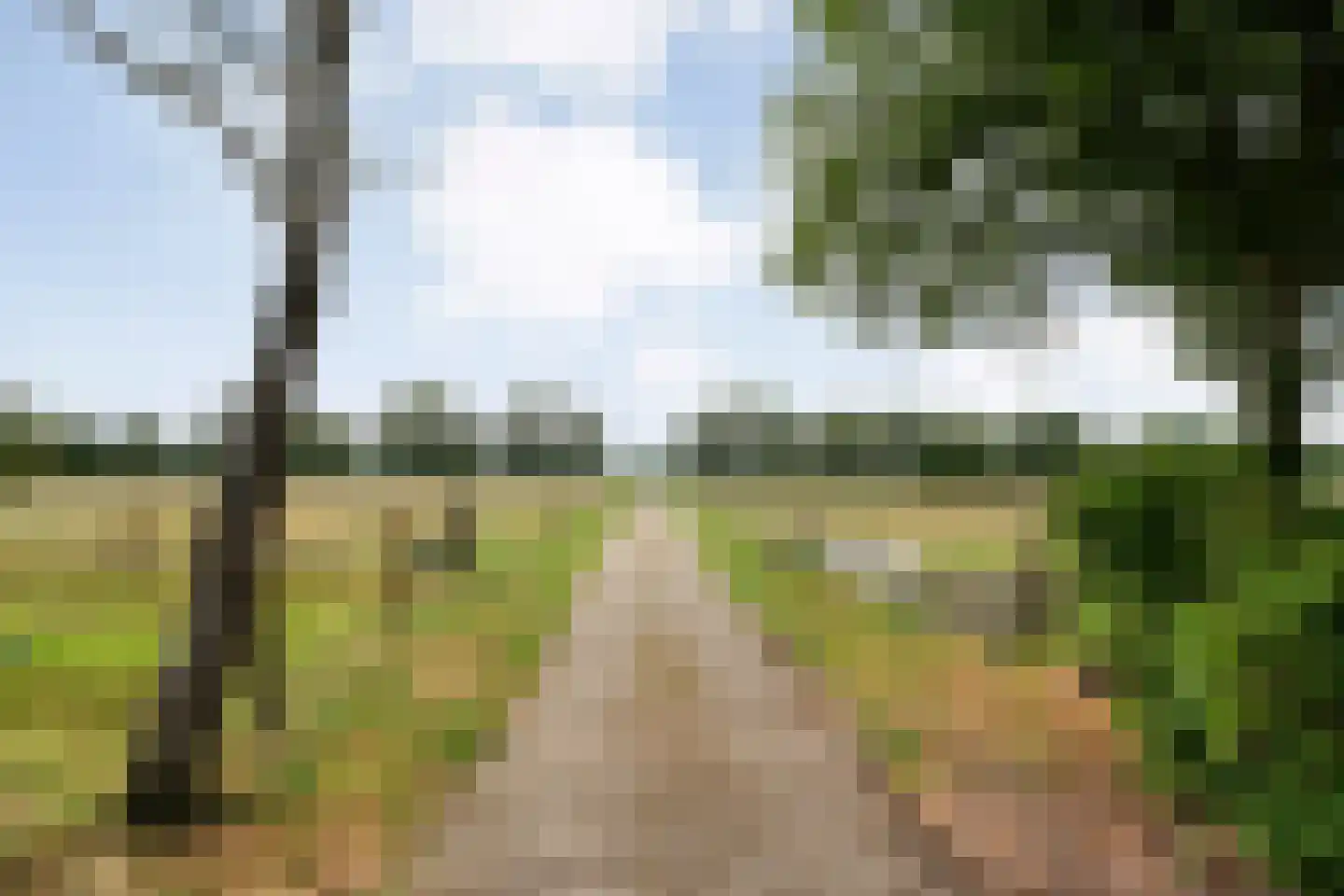 Appelschaseweg 2 Wateren thumbnail 9