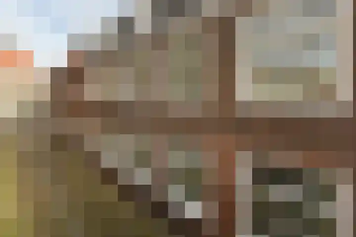 Appelsteeg 22 A Hoorn thumbnail 18