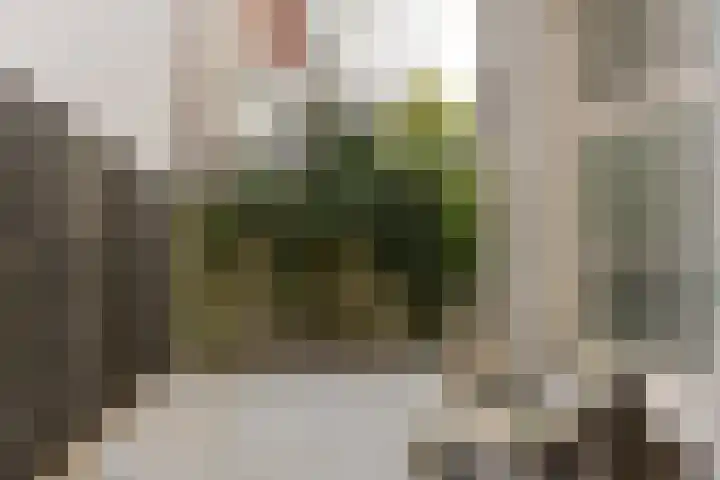 Appelsteeg 22 Hoorn thumbnail 19