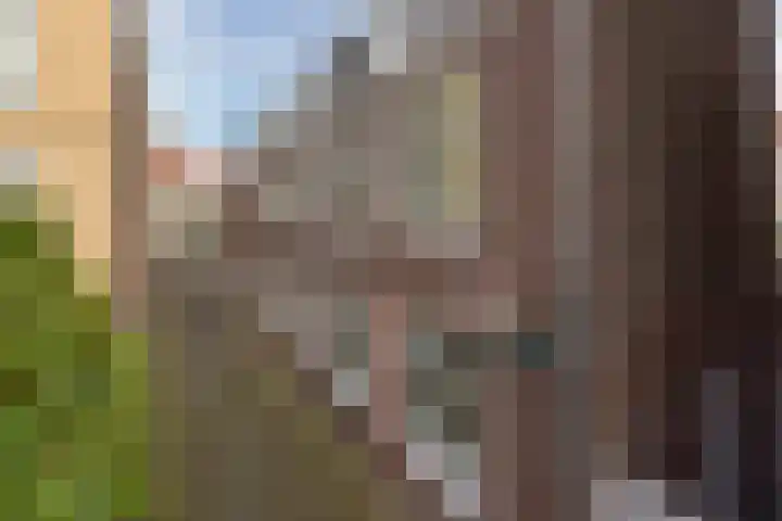 Appelsteeg 22 Hoorn thumbnail 25