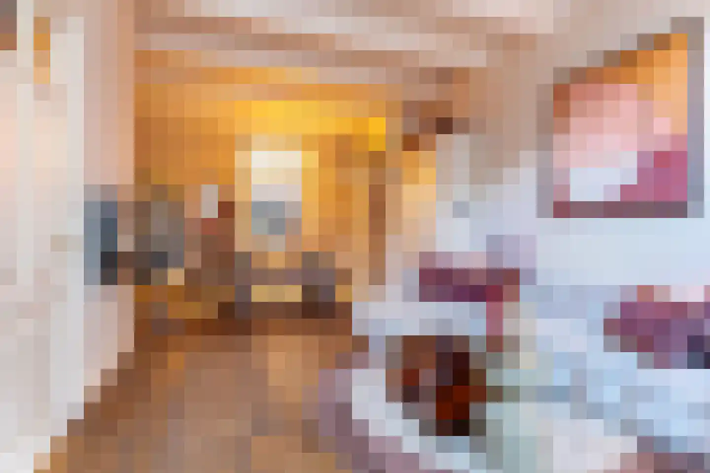 Appelsteeg 4 Hoorn thumbnail 10