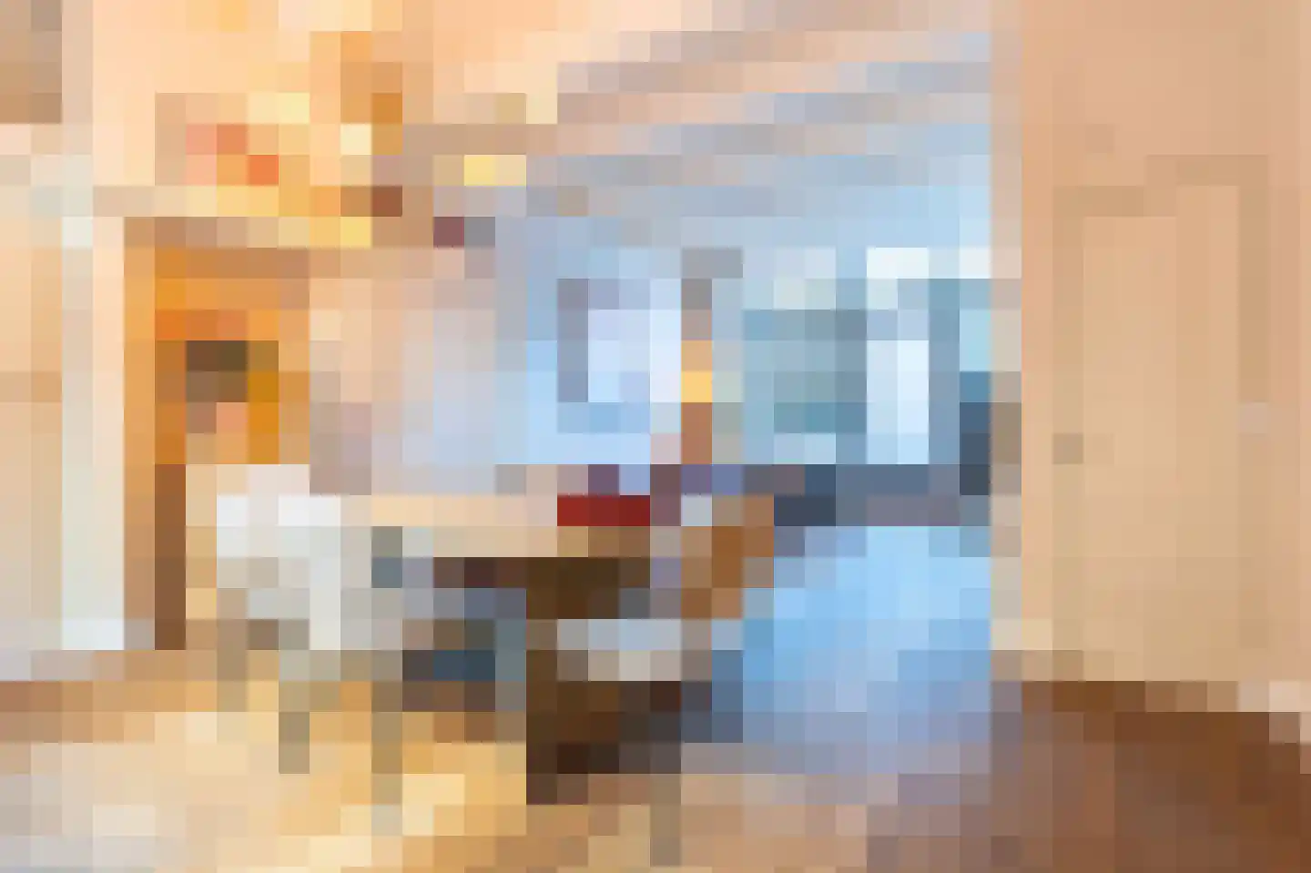 Appelsteeg 4 Hoorn thumbnail 13