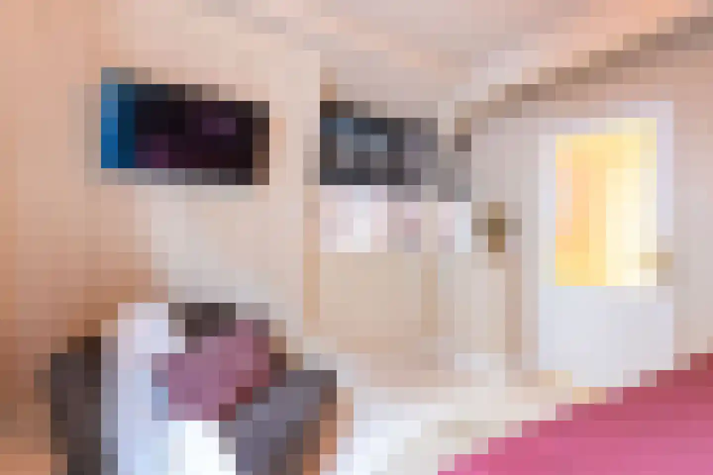 Appelsteeg 4 Hoorn thumbnail 24