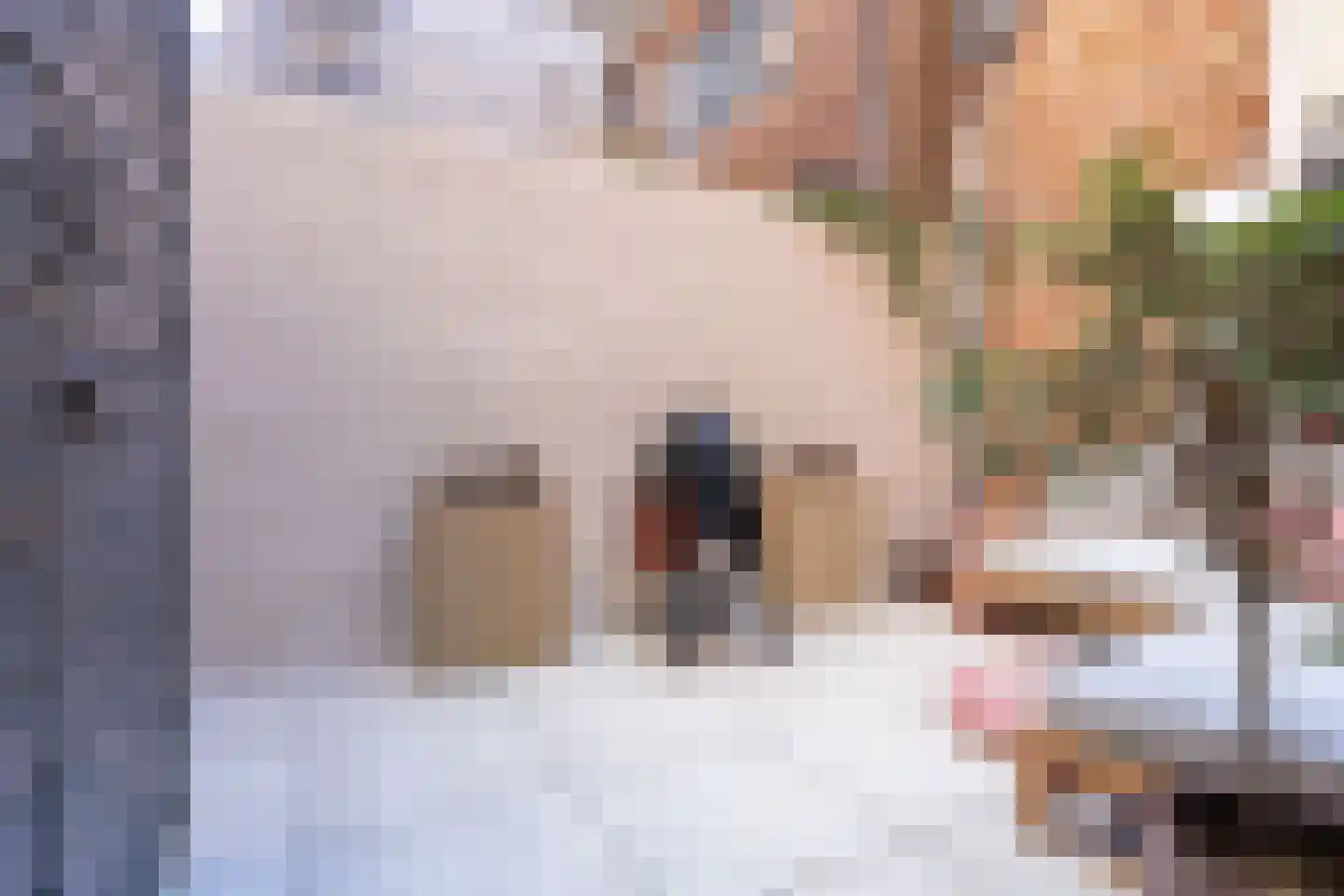 Appelsteeg 4 Hoorn thumbnail 31