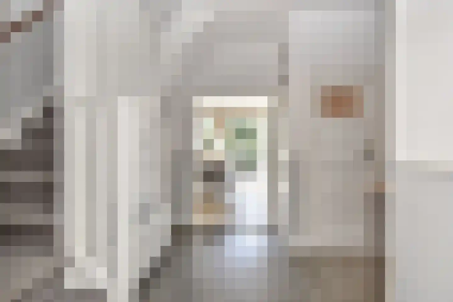 Appelstraat 10 Den Haag thumbnail 6