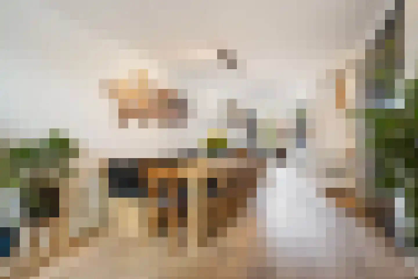 Appelstraat 103 Den Haag thumbnail 11