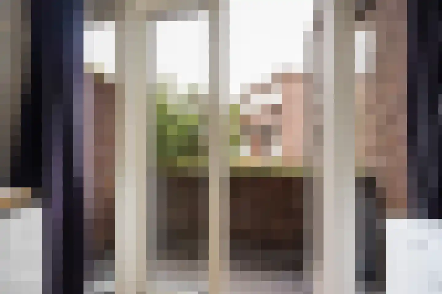 Appelstraat 103 Den Haag thumbnail 32