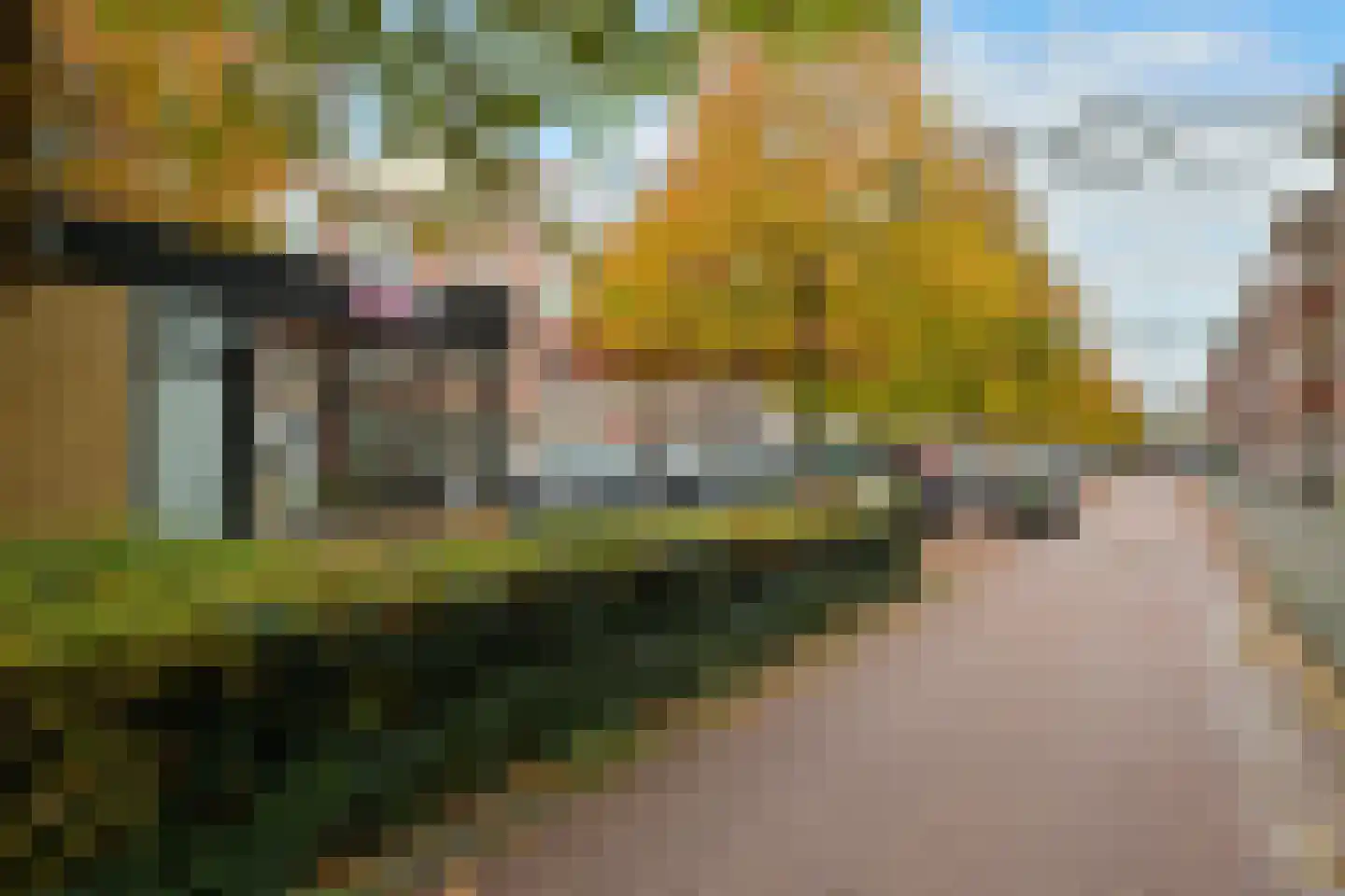 Appelstraat 120 Den Haag thumbnail 20