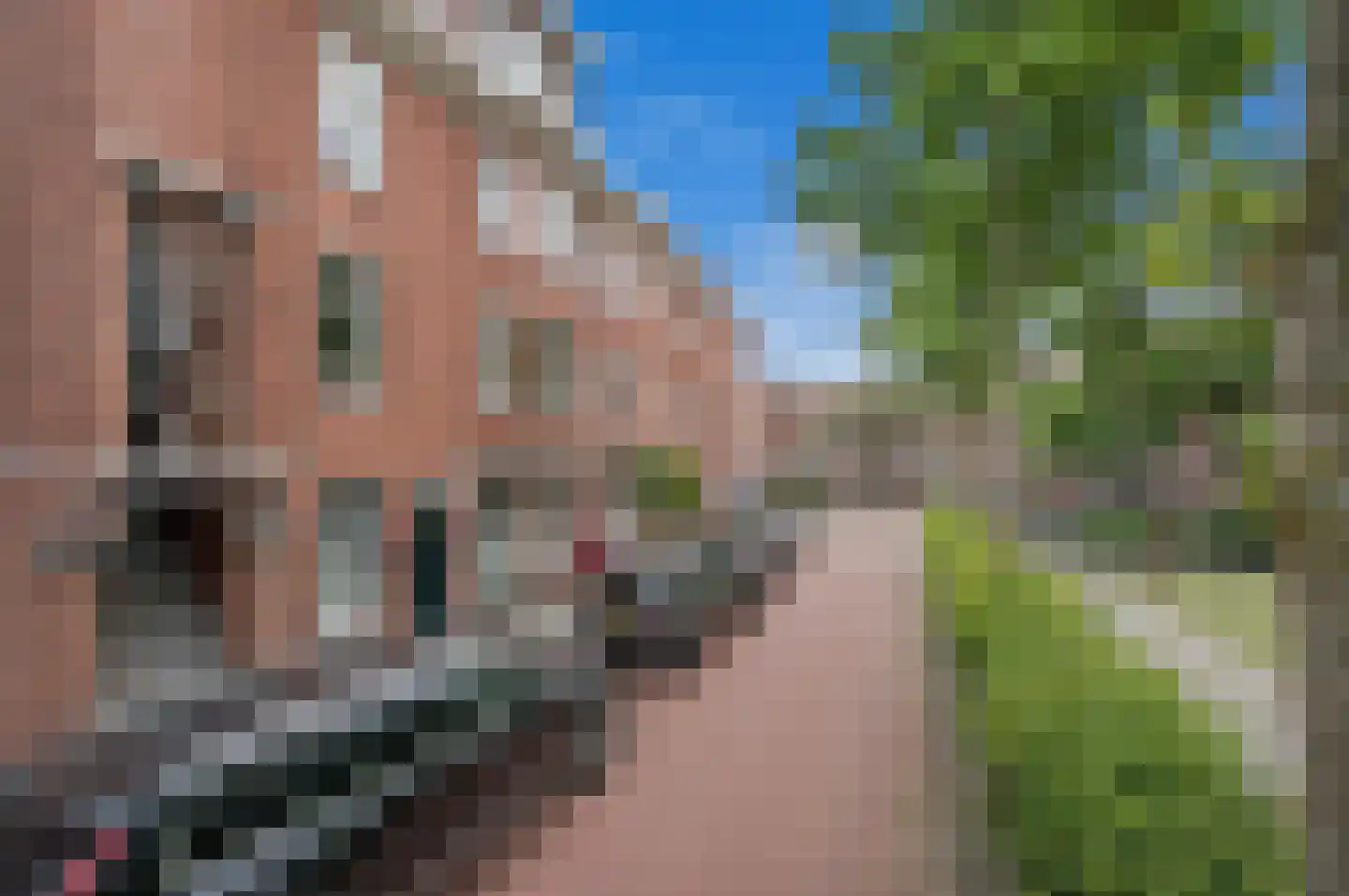 Appelstraat 132 Den Haag thumbnail 7