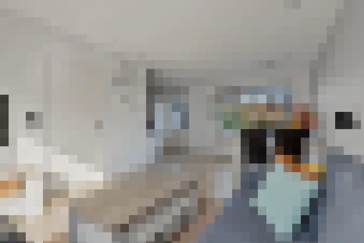 Appelstraat 15 Naaldwijk thumbnail 7