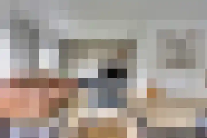 Appelstraat 18 Krabbendijke thumbnail 11