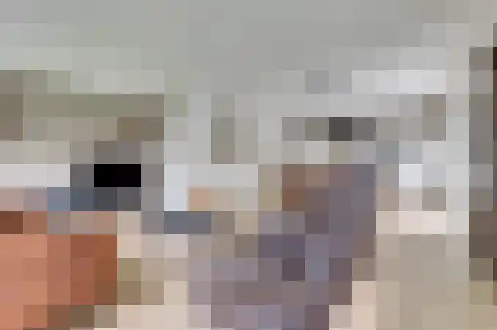 Appelstraat 18 Krabbendijke thumbnail 13