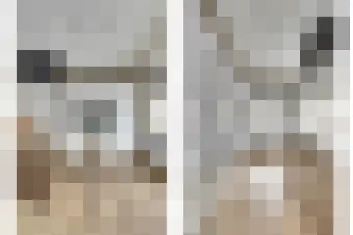 Appelstraat 18 Krabbendijke thumbnail 19