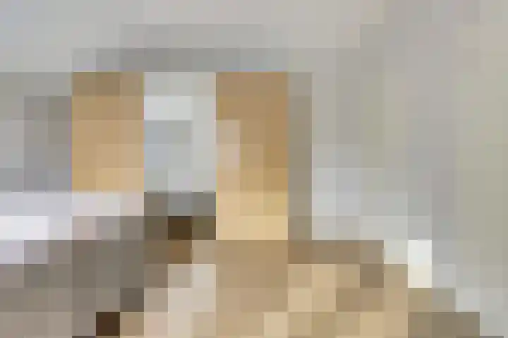 Appelstraat 18 Krabbendijke thumbnail 24