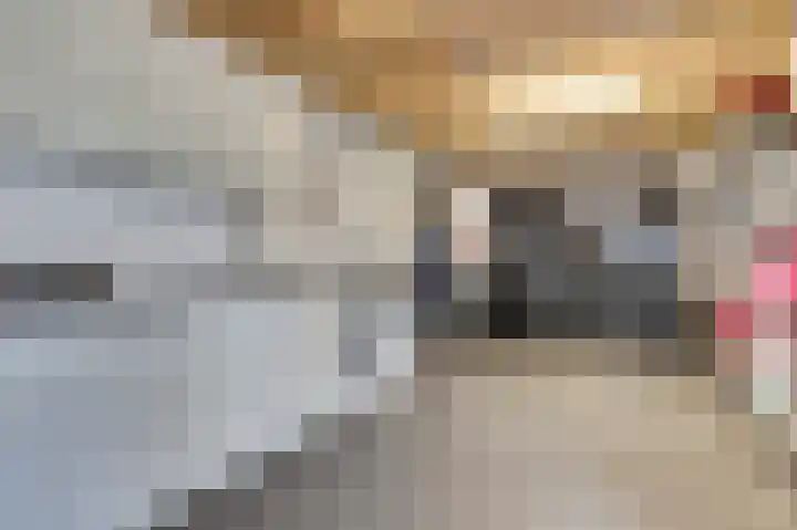 Appelstraat 18 Krabbendijke thumbnail 29