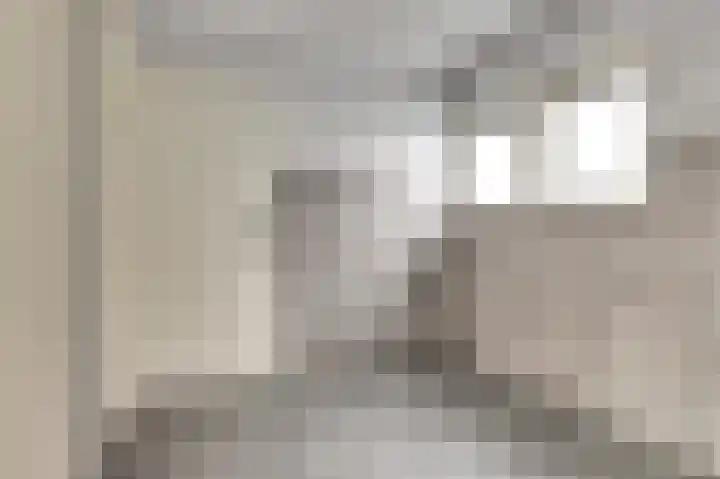 Appelstraat 18 Krabbendijke thumbnail 30