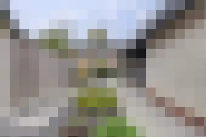 Appelstraat 18 Krabbendijke thumbnail 37