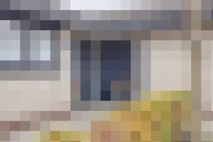 Appelstraat 18 Krabbendijke thumbnail 6