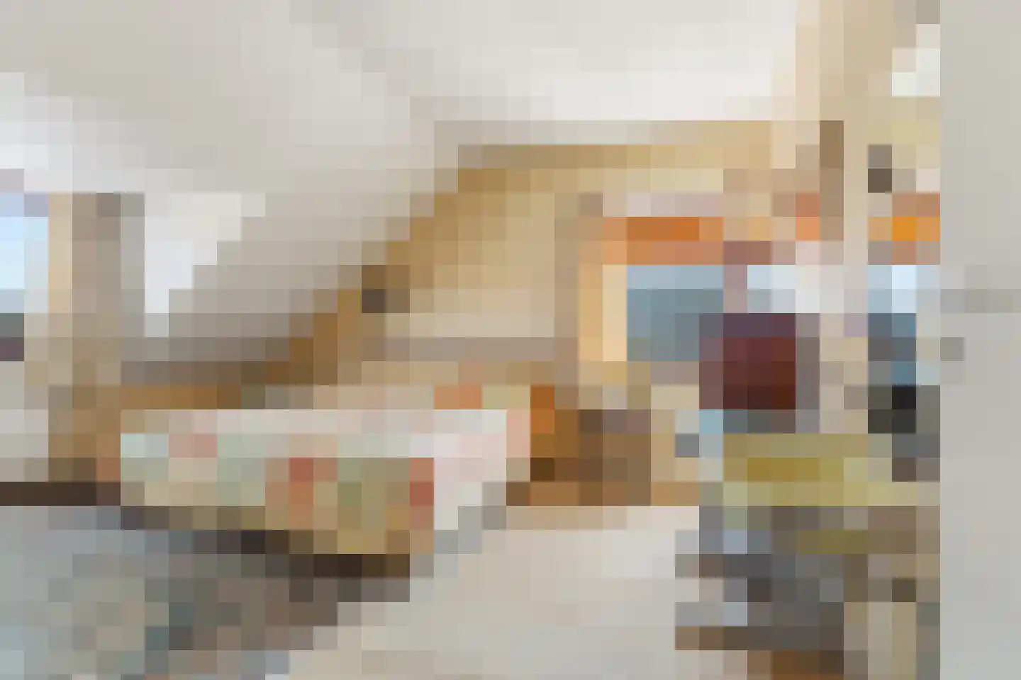 Appelstraat 19 Den Haag thumbnail 34