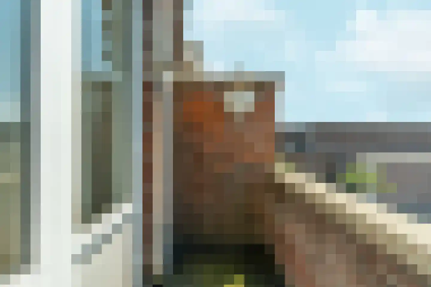 Appelstraat 19 Den Haag thumbnail 40