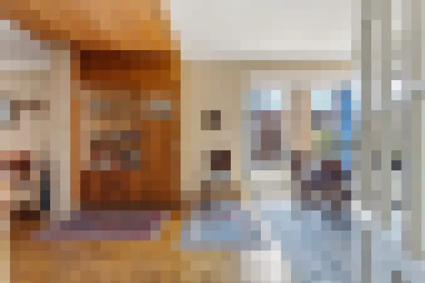 Appelstraat 19 Den Haag thumbnail 9