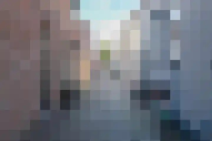 Appelstraat 2 a Schoonhoven thumbnail 16