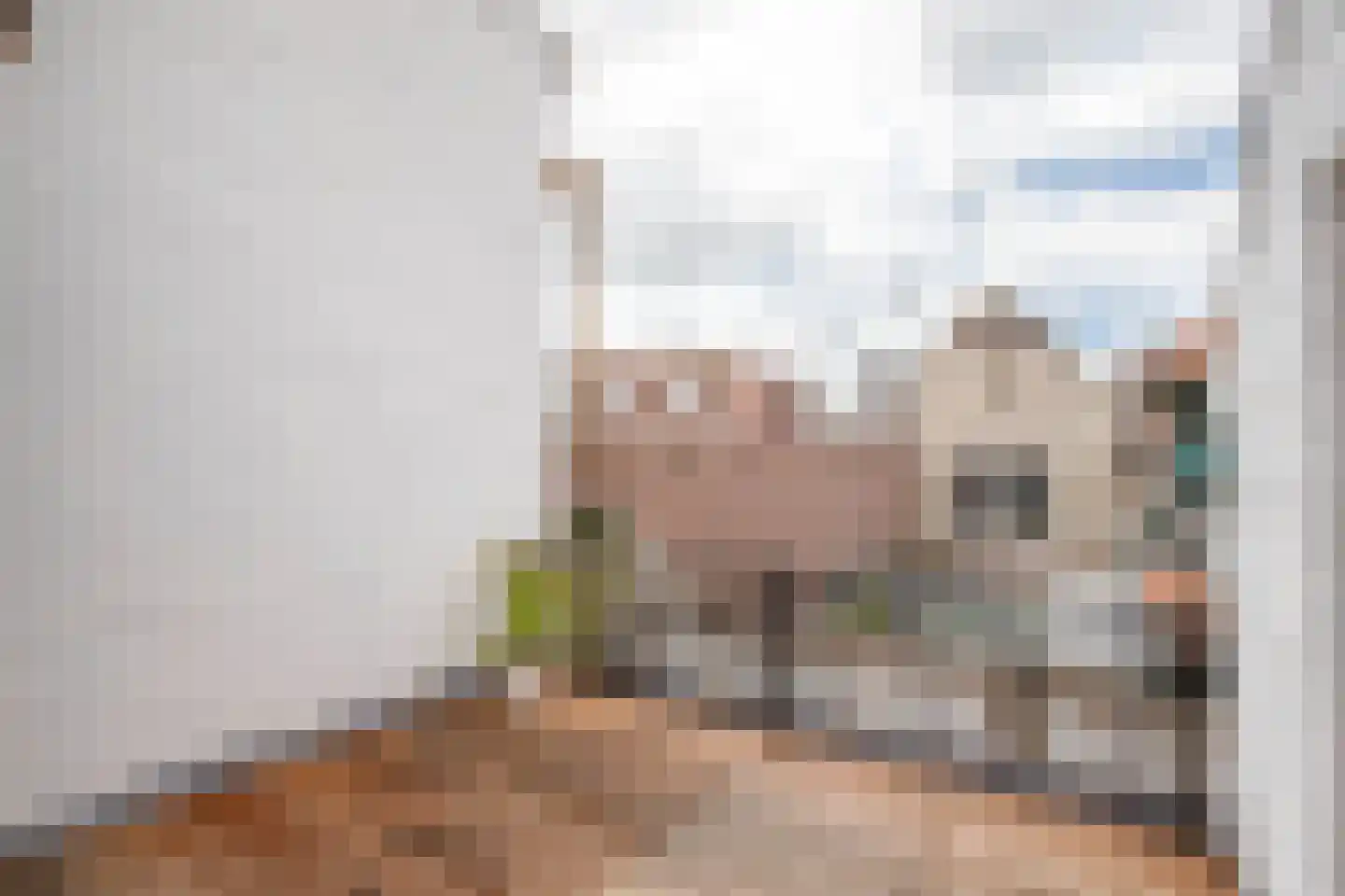 Appelstraat 2 a Schoonhoven thumbnail 8