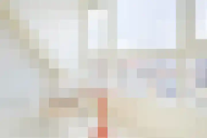 Appelstraat 20 Utrecht thumbnail 37