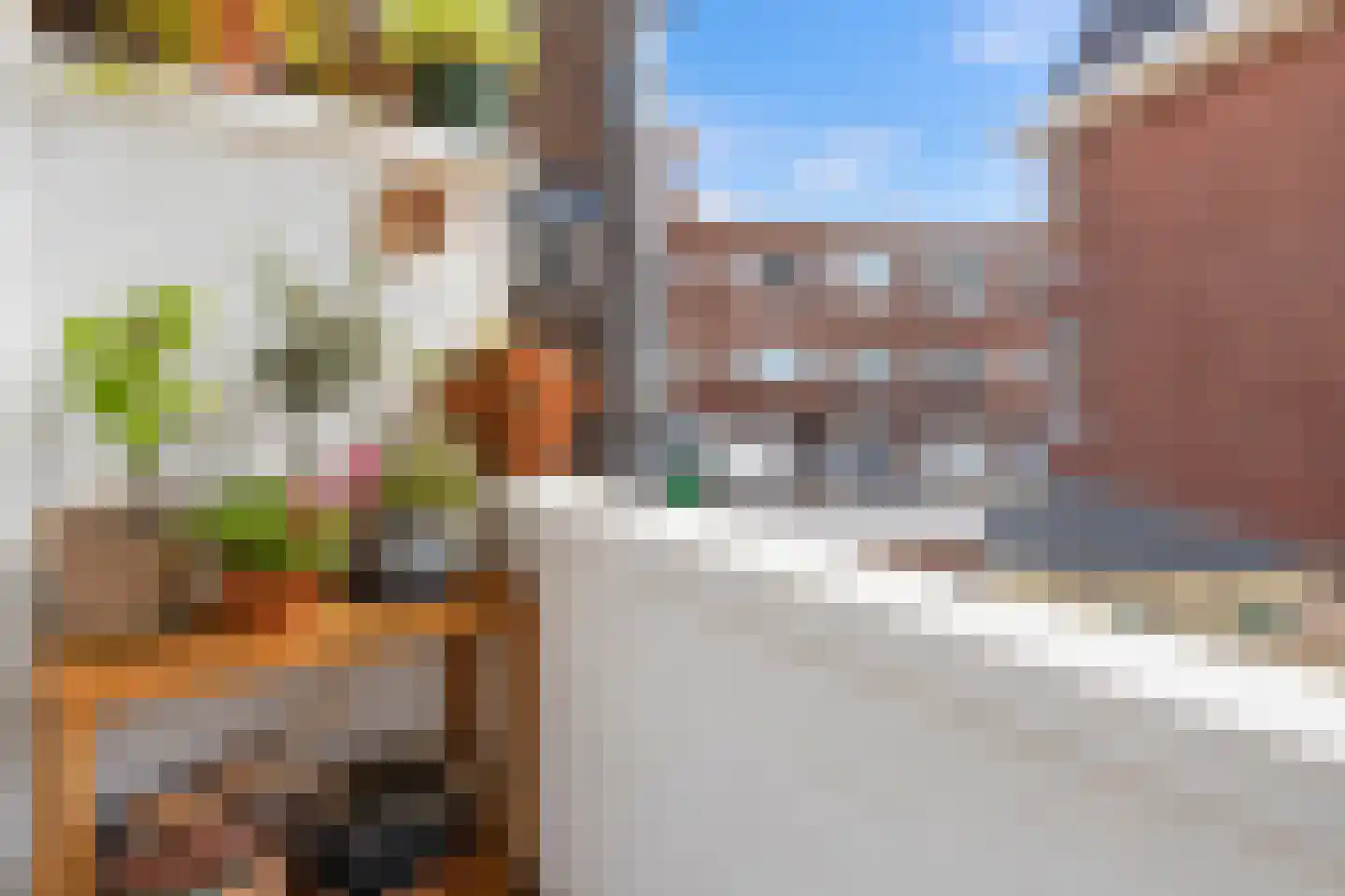Appelstraat 222 Den Haag thumbnail 22