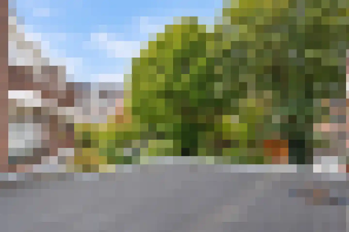Appelstraat 222 Den Haag thumbnail 35