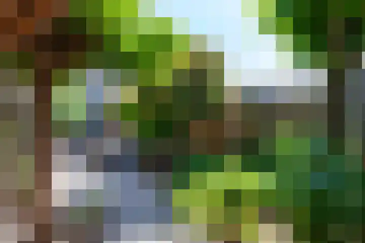 Appelstraat 5 Woerden thumbnail 32