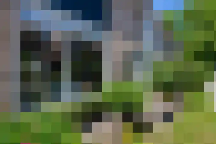 Appelstraat 5 Woerden thumbnail 4