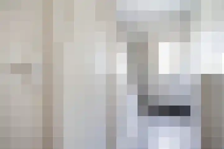 Appelstraat 5 Woerden thumbnail 5