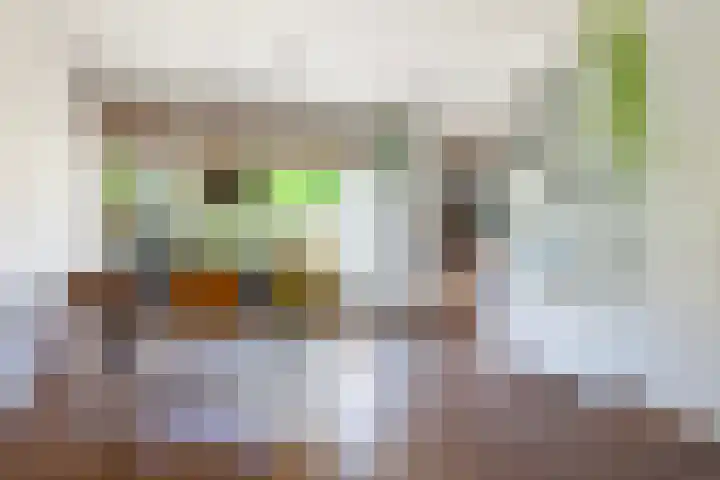 Appelstraat 5 Woerden thumbnail 9
