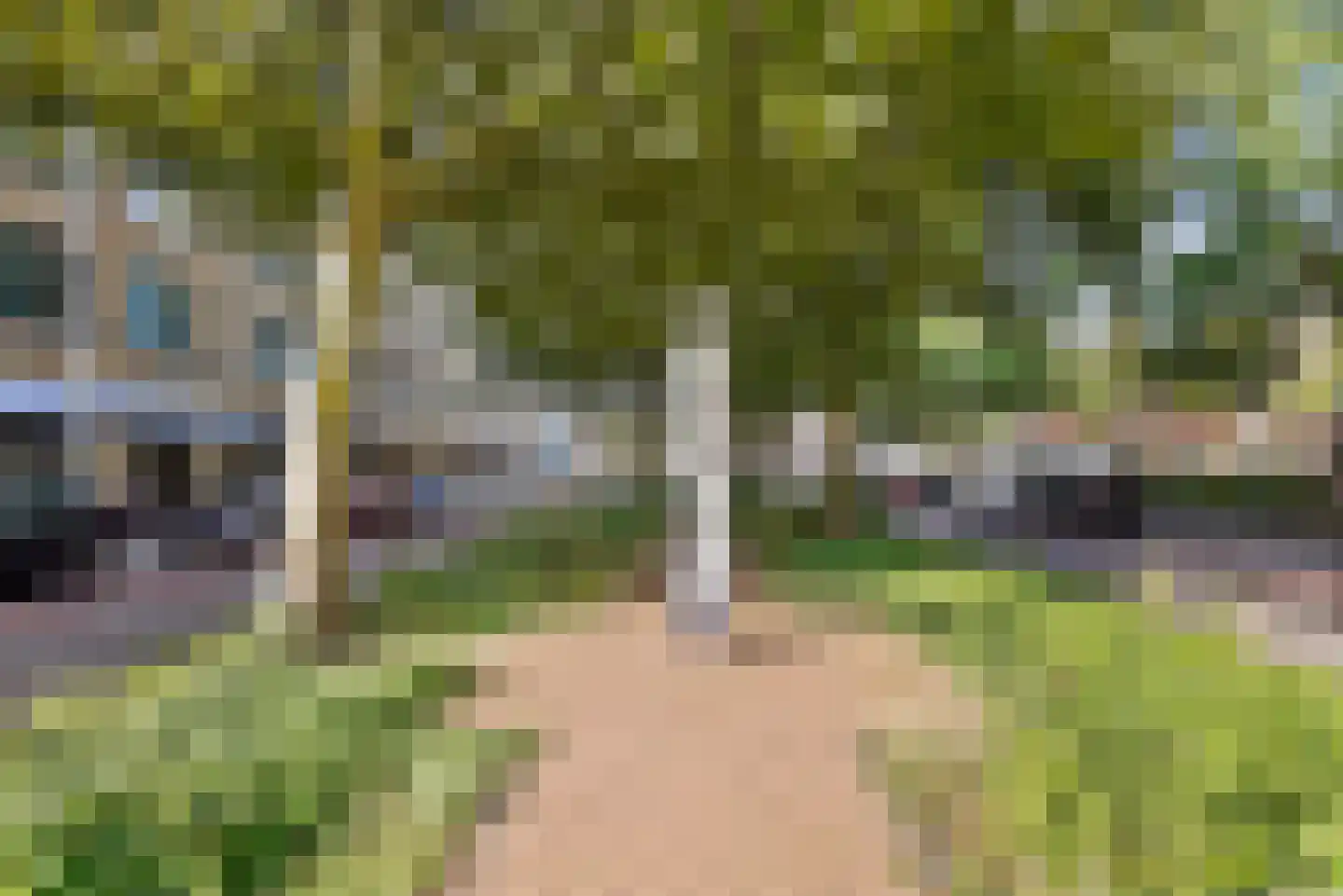 Appelstraat 52 Den Haag thumbnail 50