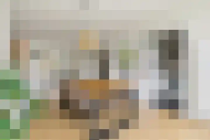 Appelstraat 53 Den Haag foto 2