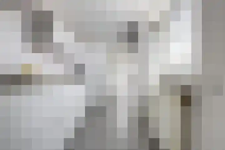 Appelstraat 54 Goes thumbnail 12