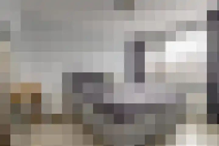 Appelstraat 54 Goes thumbnail 16
