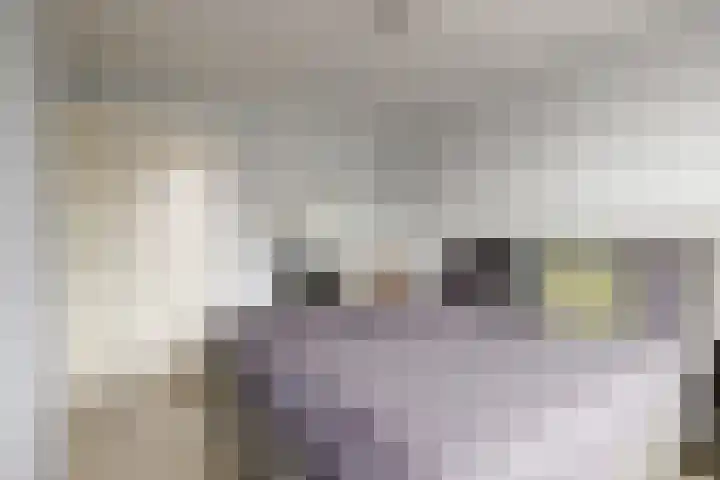Appelstraat 54 Goes thumbnail 17