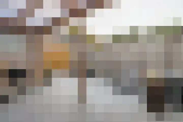Appelstraat 54 Goes thumbnail 27