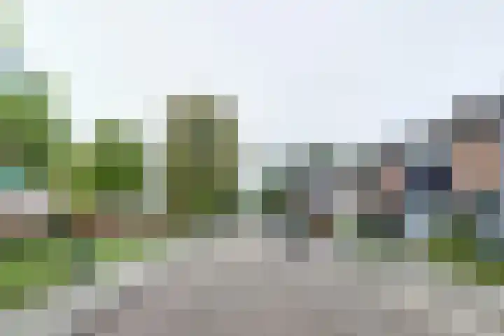 Appelstraat 54 Goes thumbnail 29