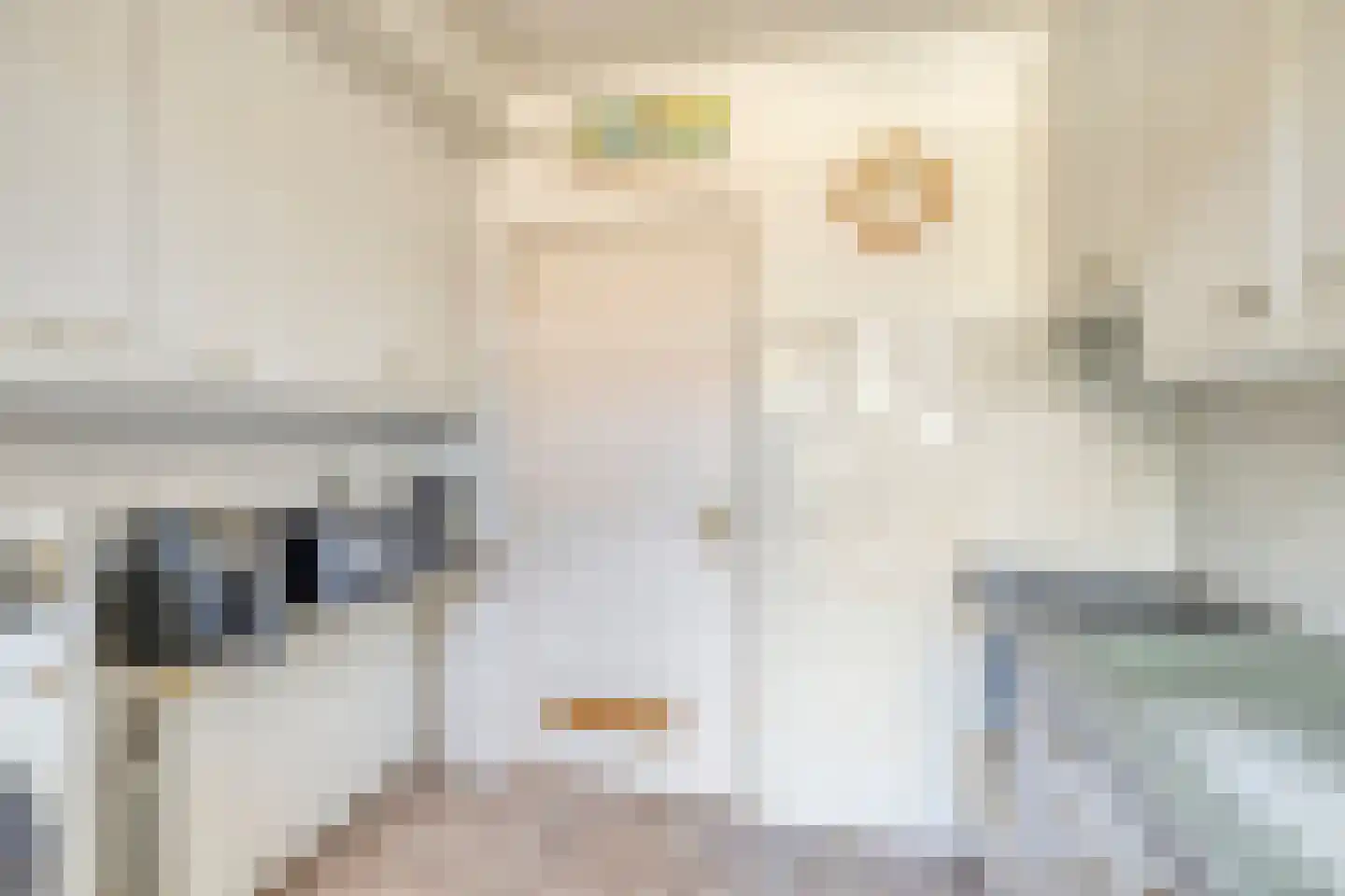 Appelstraat 6 Woerden thumbnail 13