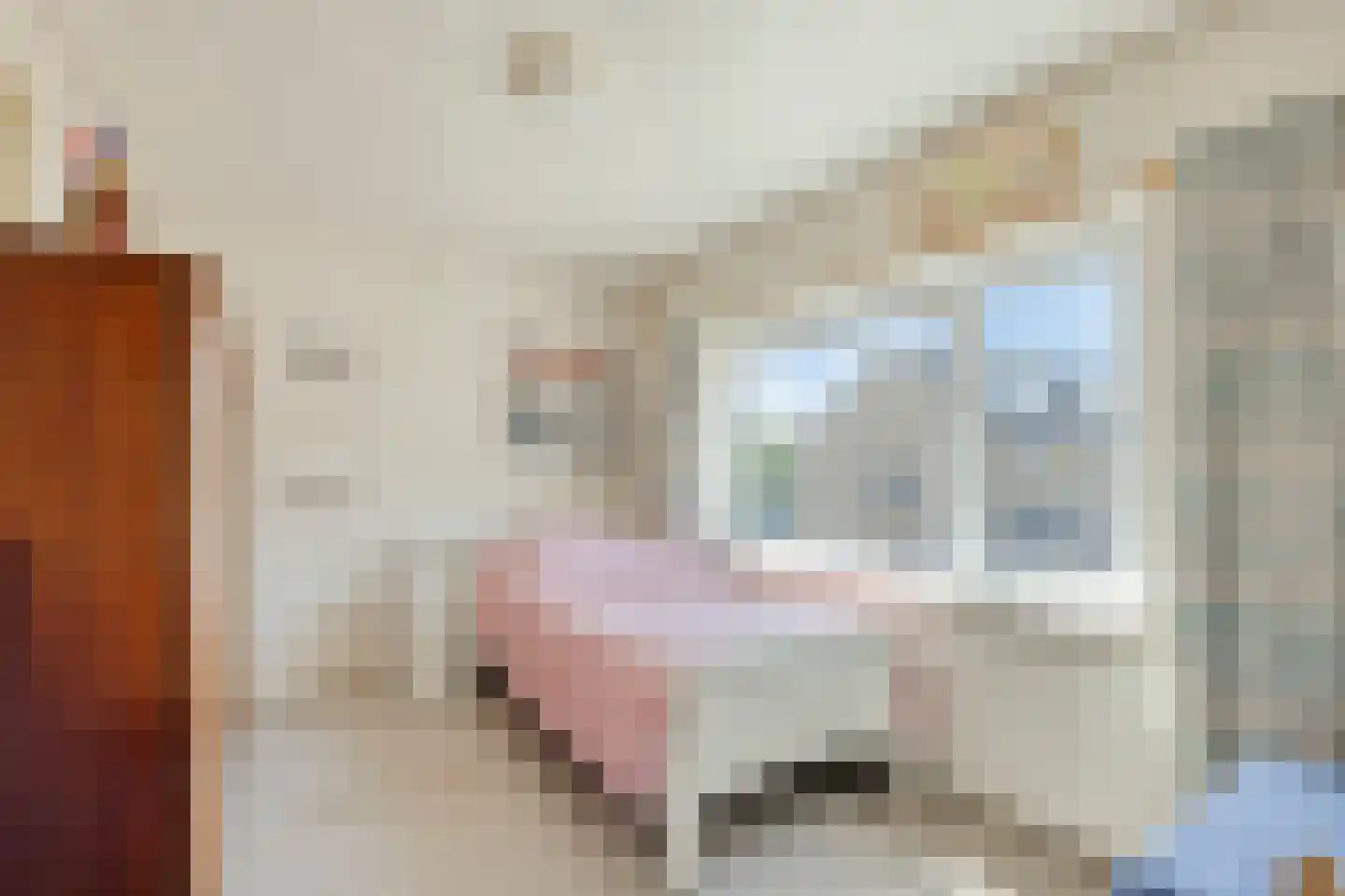 Appelstraat 6 Woerden thumbnail 19