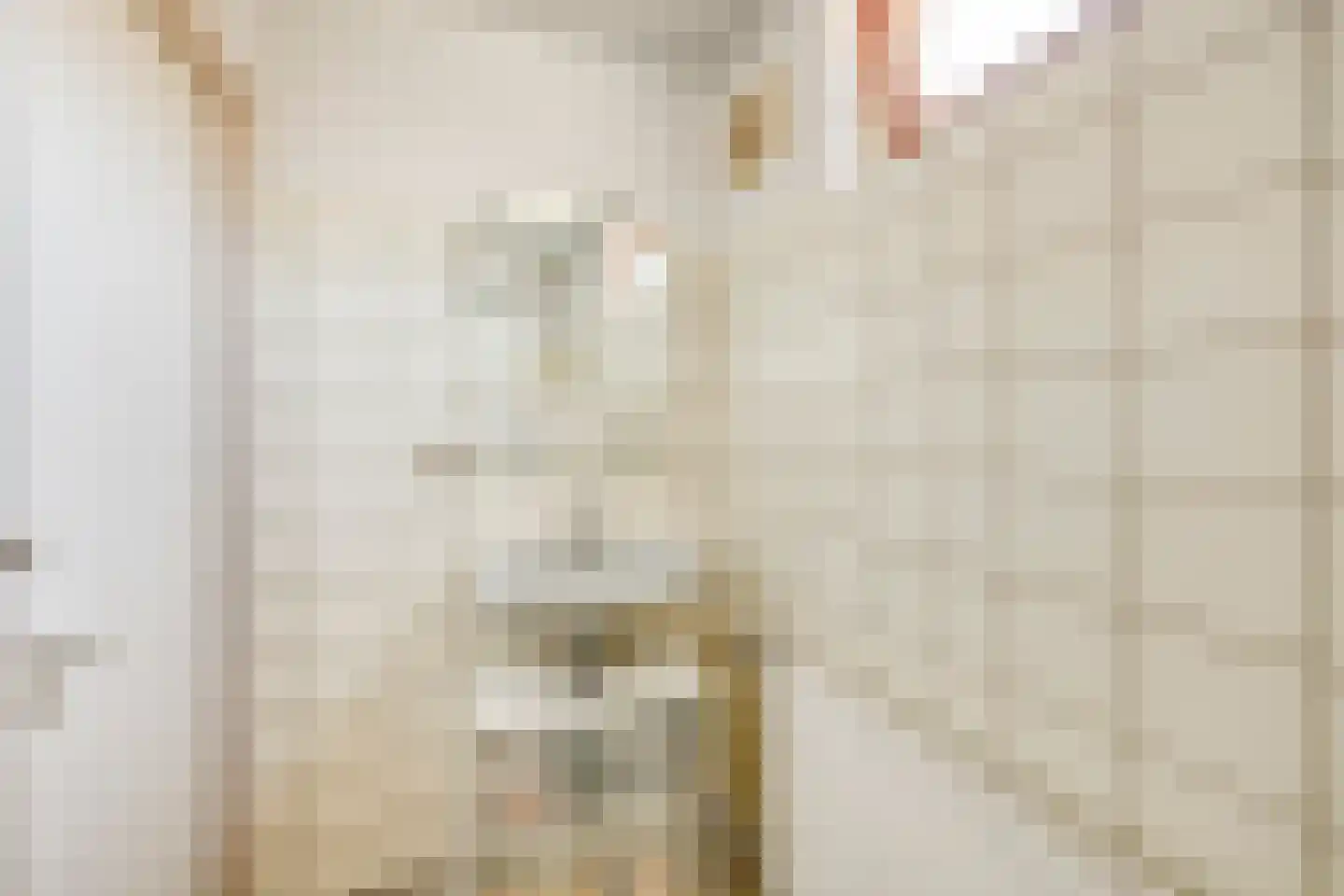 Appelstraat 6 Woerden thumbnail 22