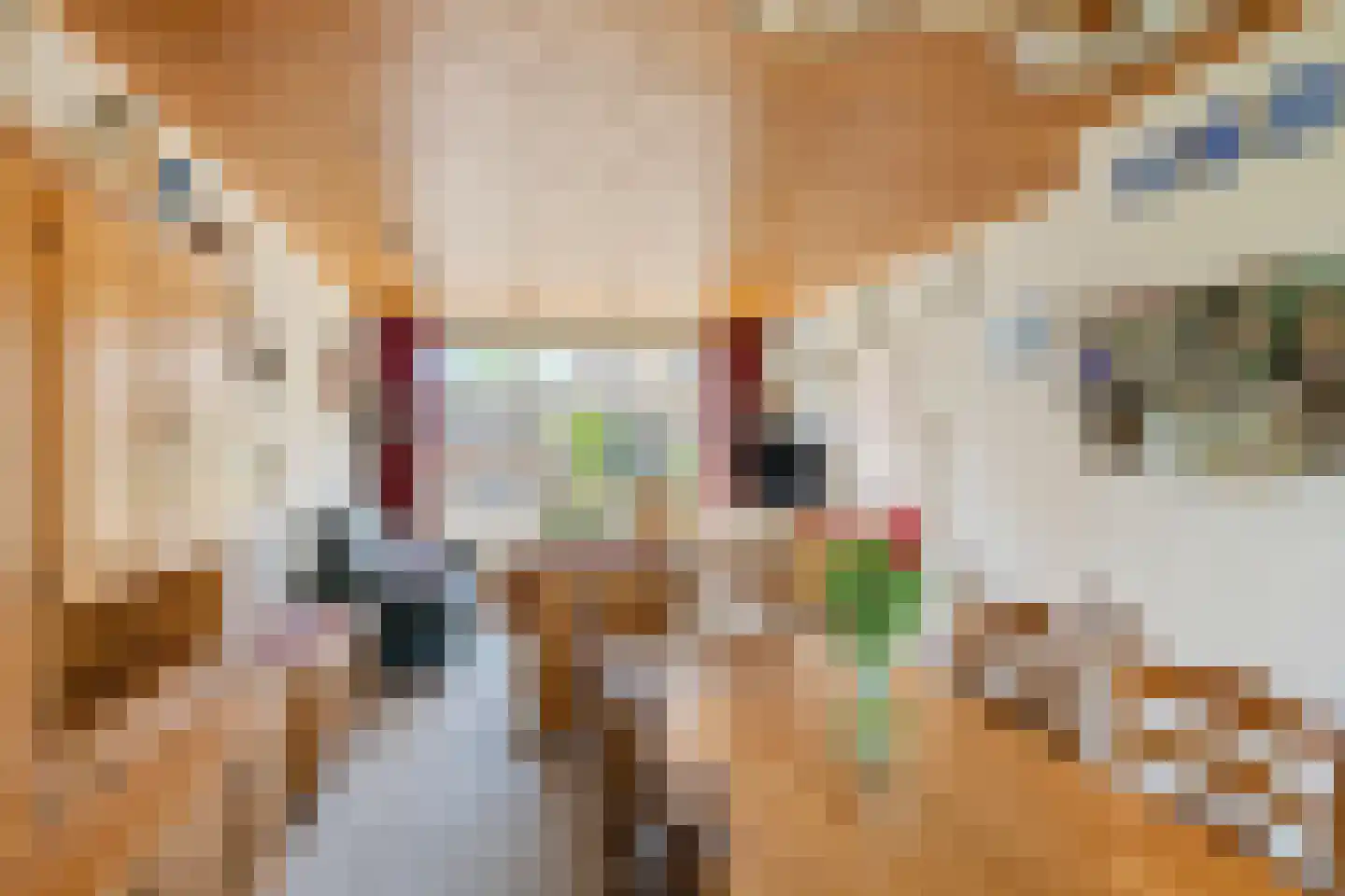 Appelstraat 6 Woerden thumbnail 4