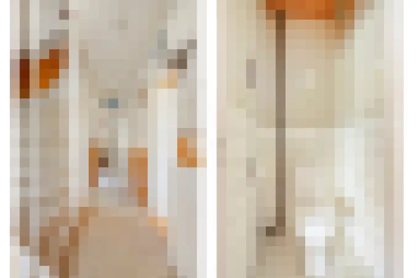 Appelstraat 6 Woerden thumbnail 7