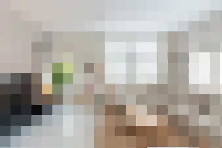 Appelstraat 84 in Den Haag