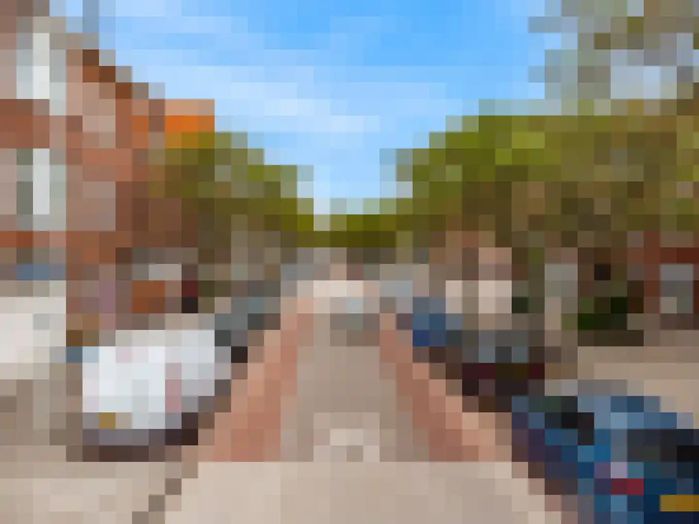 Appelstraat 90 Den Haag thumbnail 34